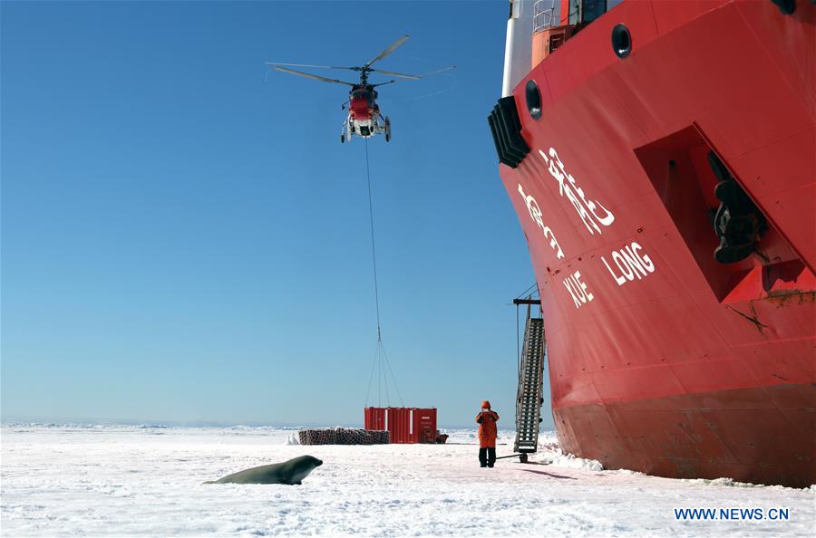 CHINA-XUELONG-ANTARCTIC EXPEDITION-ANIMALS