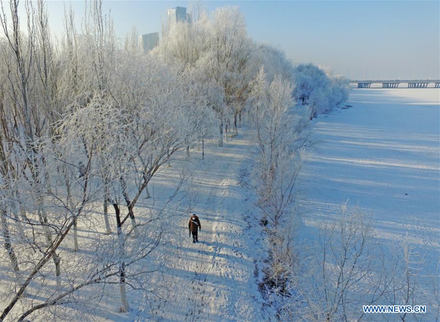 CHINA-SHENYANG-RIME (CN)