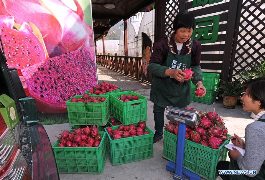 CHINA-ZHEJIANG-RURAL INCOMES (CN)    