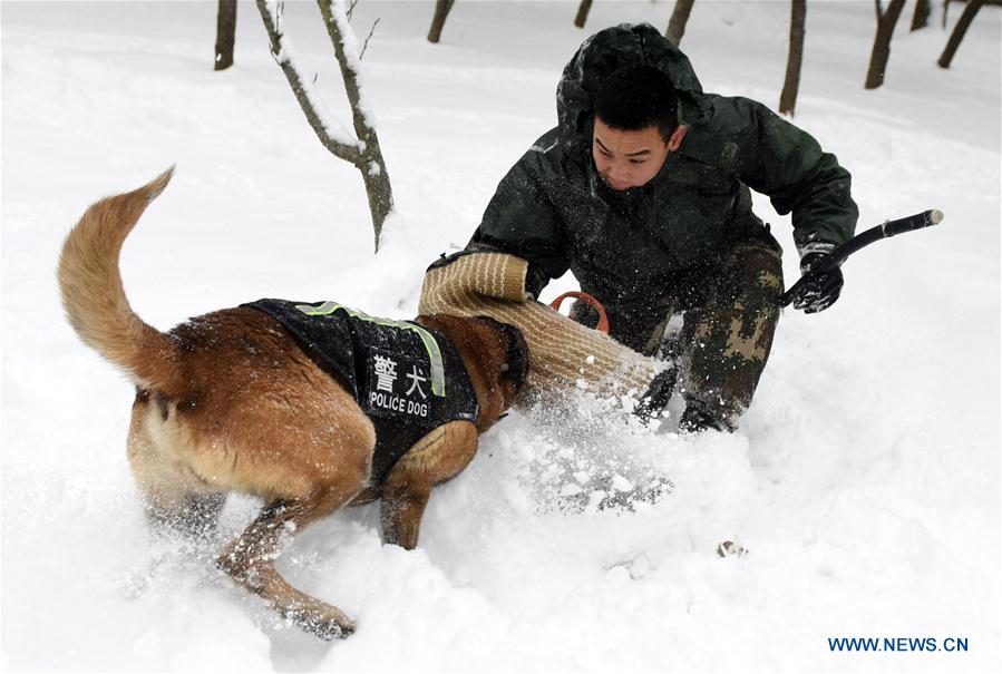 #CHINA-HEFEI-POLICE DOG (CN)