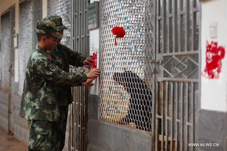 #CHINA-HAINAN-POLICE DOG-SPRING FESTIVAL-YEAR OF DOG(CN)