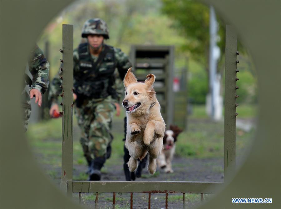 CHINA-YEAR OF DOG-APPROACHING (CN)