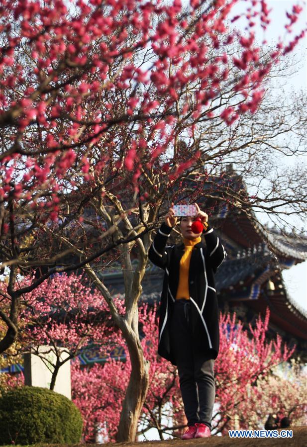 #CHINA-JIANGSU-NANJING-PLUM BLOSSOM(CN)