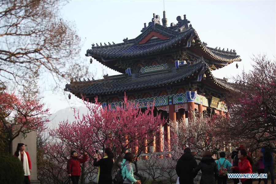 #CHINA-JIANGSU-NANJING-PLUM BLOSSOM(CN)