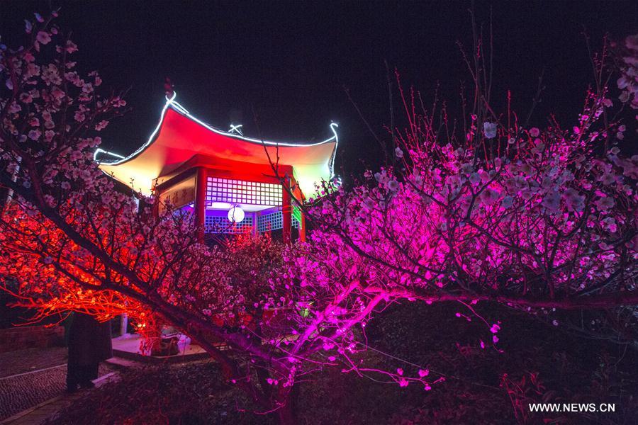 #CHINA-NANJING-PLUM BLOSSOMS (CN)