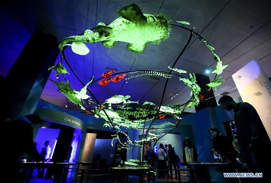 U.S.-NEW YORK-UNSEEN OCEANS-EXHIBITION