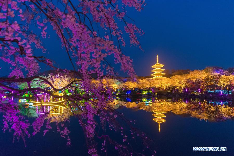 CHINA-WUHAN-CHERRY BLOSSOMS (CN)