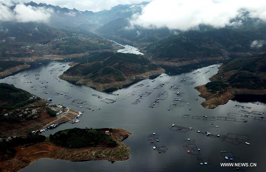 CHINA-GUANGXI-LANDSCAPE-FISHERY (CN)