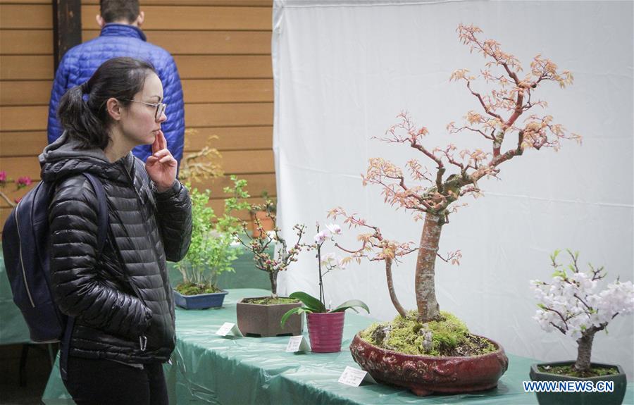 CANADA-VANCOUVER-BONSAI AND FLOWER EXHIBITION