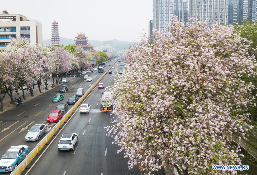 CHINA-FUZHOU-SPRING VIEWS (CN)