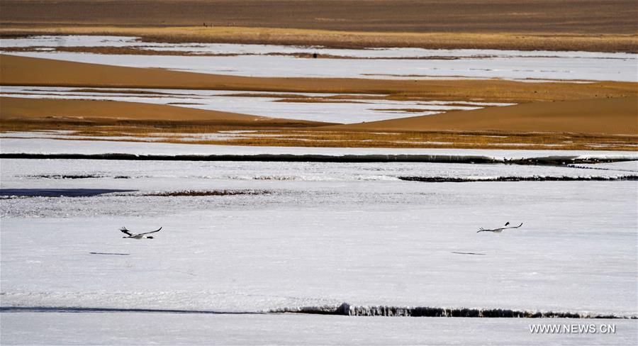 CHINA-XINJIANG-ALTUN MOUNTAINS-WILDLIFE-LANDSCAPE (CN)