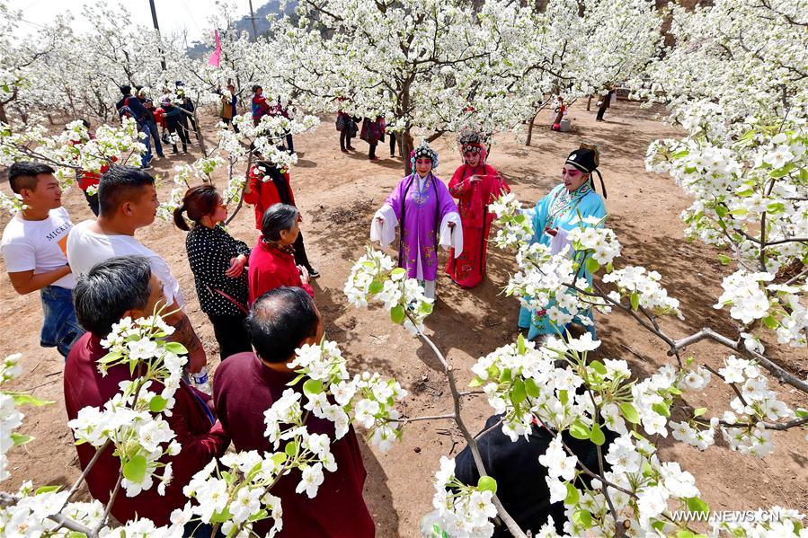 CHINA-HEBEI-SPRING LEISURE (CN)