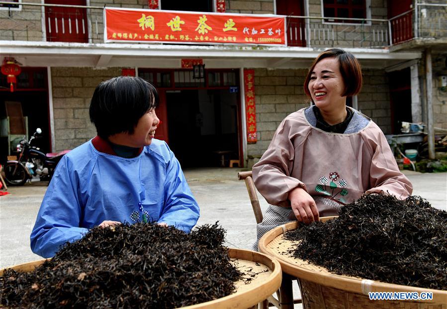 CHINA-FUJIAN-WUYI MOUNTAIN-TEA PRODUCTION (CN)