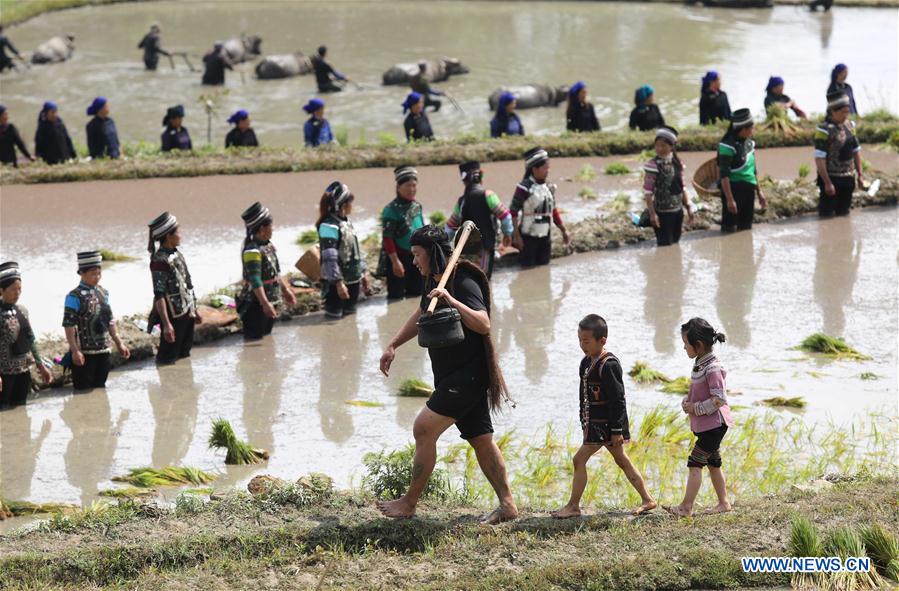 #CHINA-YUNNAN-YUANYANG-FARMING CULTURE (CN) 