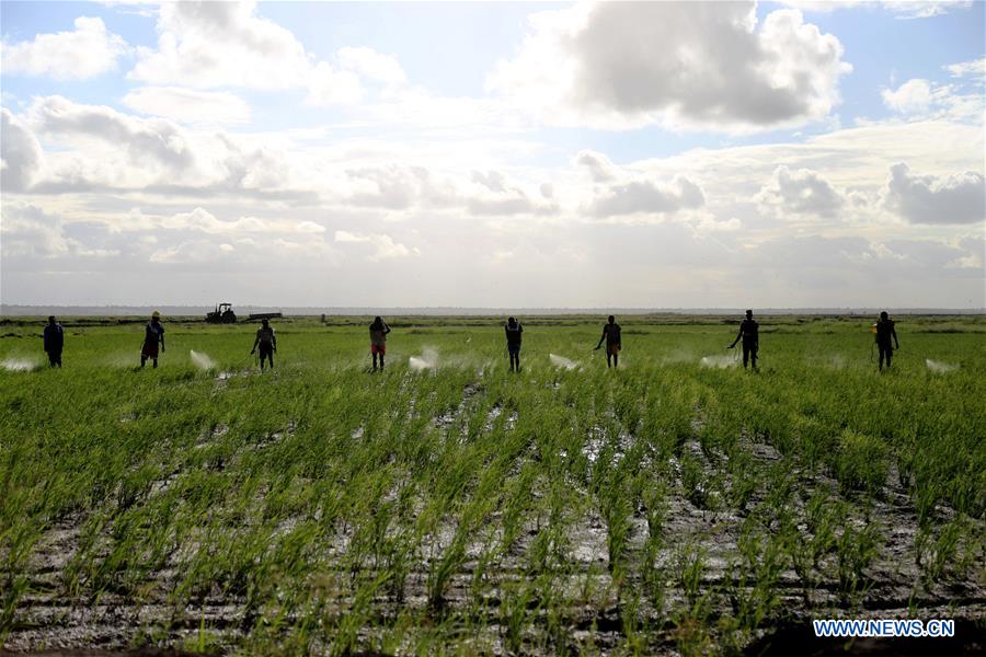 MOZAMBIQUE-GAZA-CHINA-AGRICULTURAL PROJECT