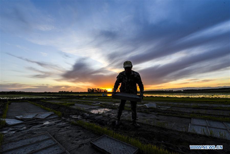 CHINA-XINJIANG-ILI-AGRICULTURE(CN)