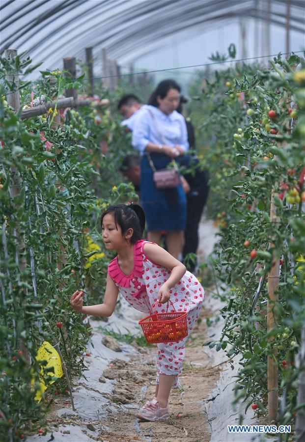 CHINA-ZHEJIANG-CHANGXING-COUNTRYSIDE TOURISM (CN)