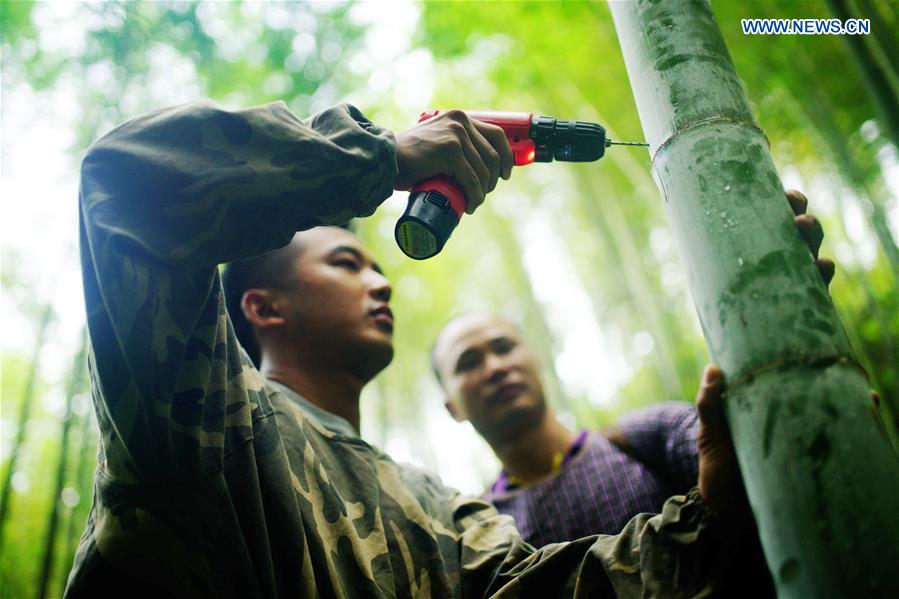 #CHINA-GUANGXI-BAMBOO WINE INDUSTRY (CN)