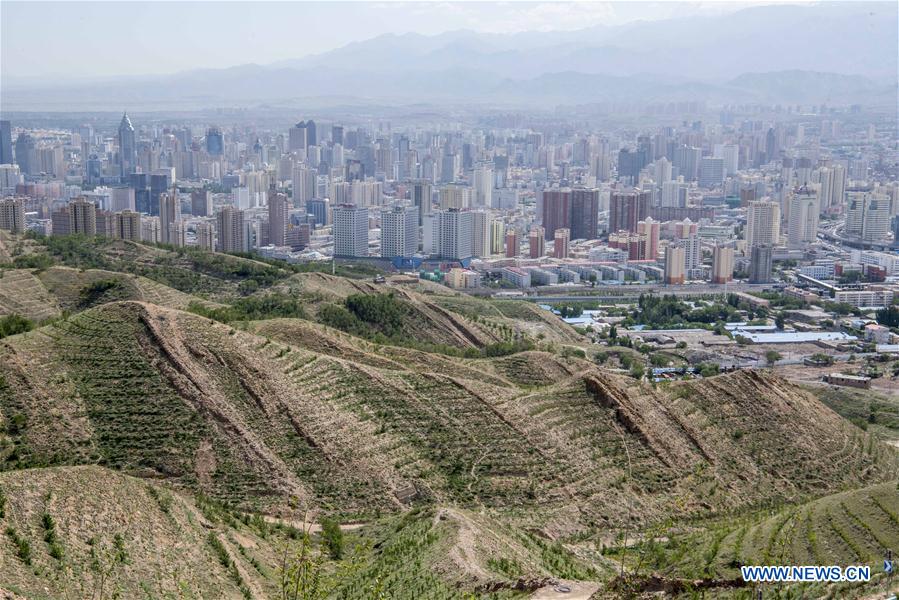 CHINA-XINJIANG-URUMQI-AFFORESTATION (CN)