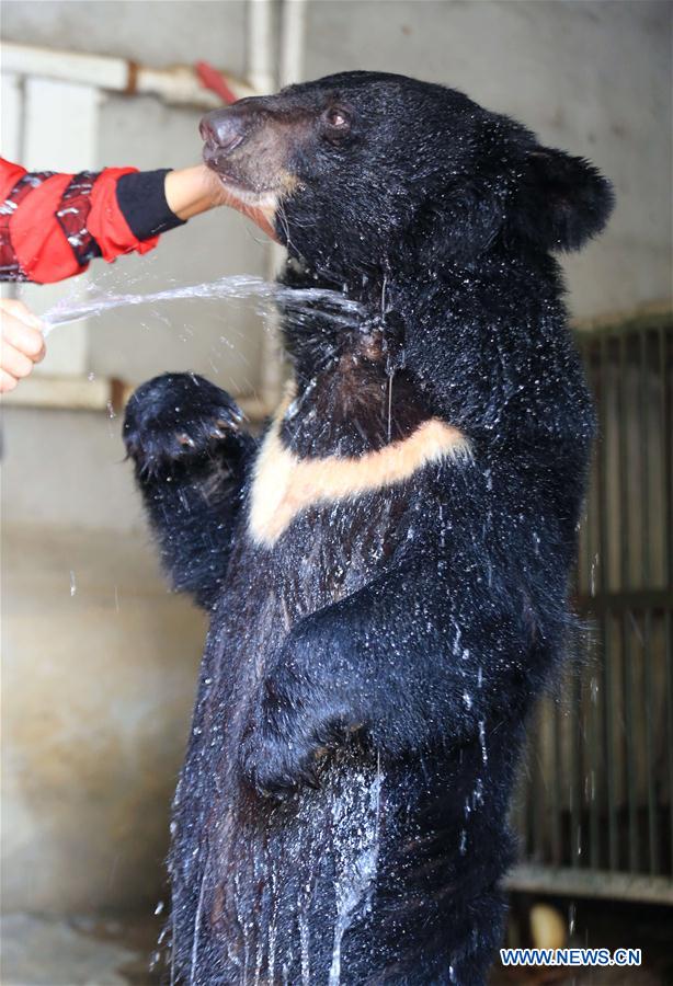 #CHINA-ZOO-ANIMALS-COOL OFF (CN)