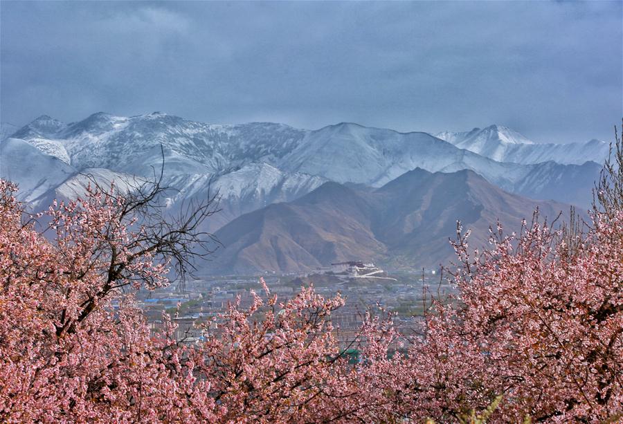 Xinhua Headlines: Qinghai-Tibet Plateau still one of cleanest regions on earth