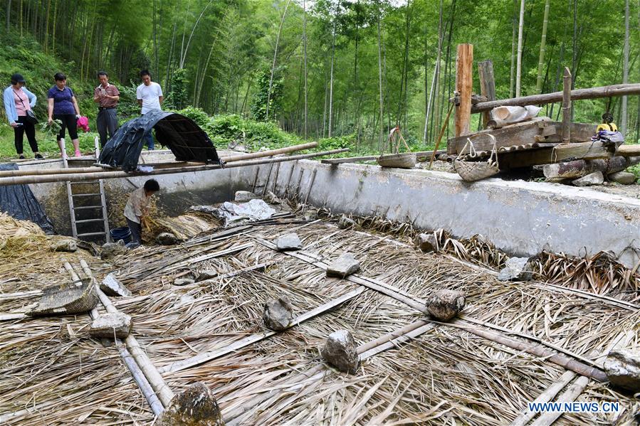 CHINA-FUJIAN-JIANGLE-BAMBOO PAPER (CN)