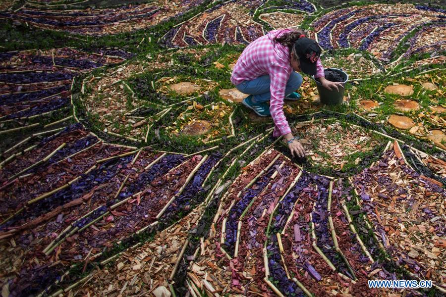 MEXICO-TEPOTZOTLAN-FLOWER CARPET