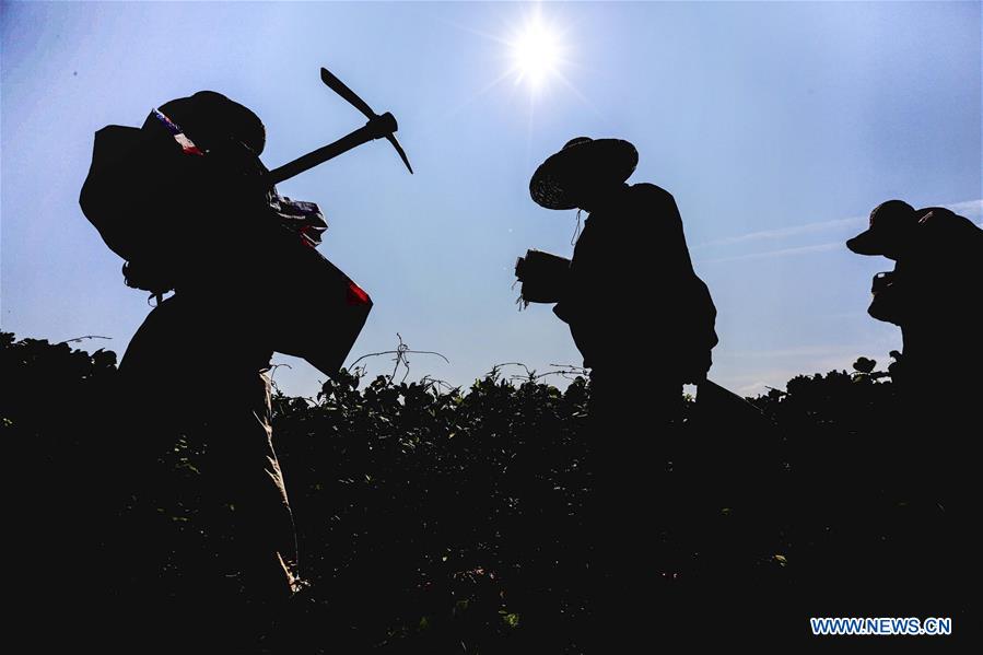 #CHINA-JI'AN-IRRIGATION DITCH-INSPECTION (CN)