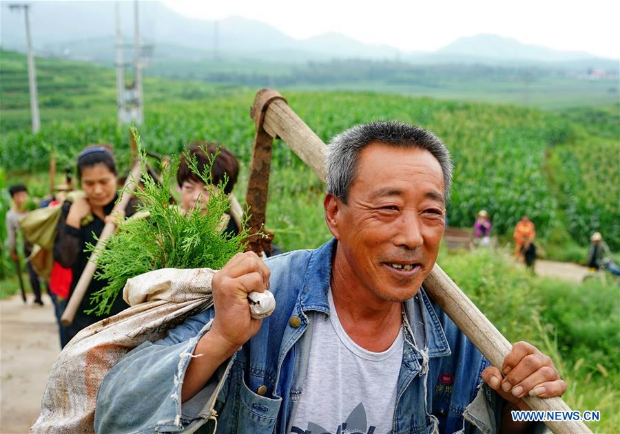 CHINA-HEBEI-LUANXIAN-AFFORESTATION(CN)