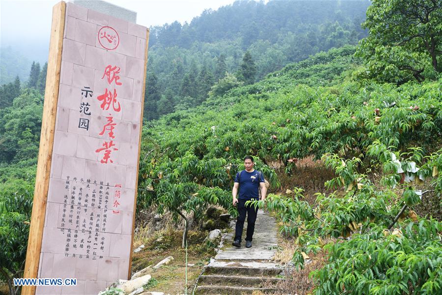 CHINA-CHONGQING-WULONG-POVERTY ALLEVIATION (CN)