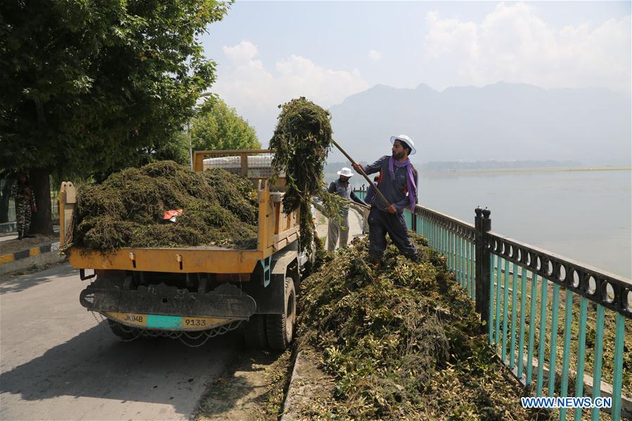 INDIAN-CONTROLLED KASHMIR-SRINAGAR-DAL LAKE-POLLUTION-CLEANING DRIVE