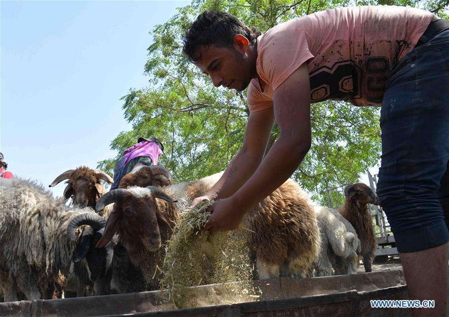 SYRIA-DAMASCUS-EID AL-ADHA-LIVESTOCK MARKET