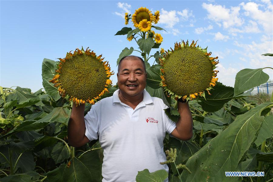 CHINA-INNER MONGOLIA-AGRICULTURE-EXPORT (CN)