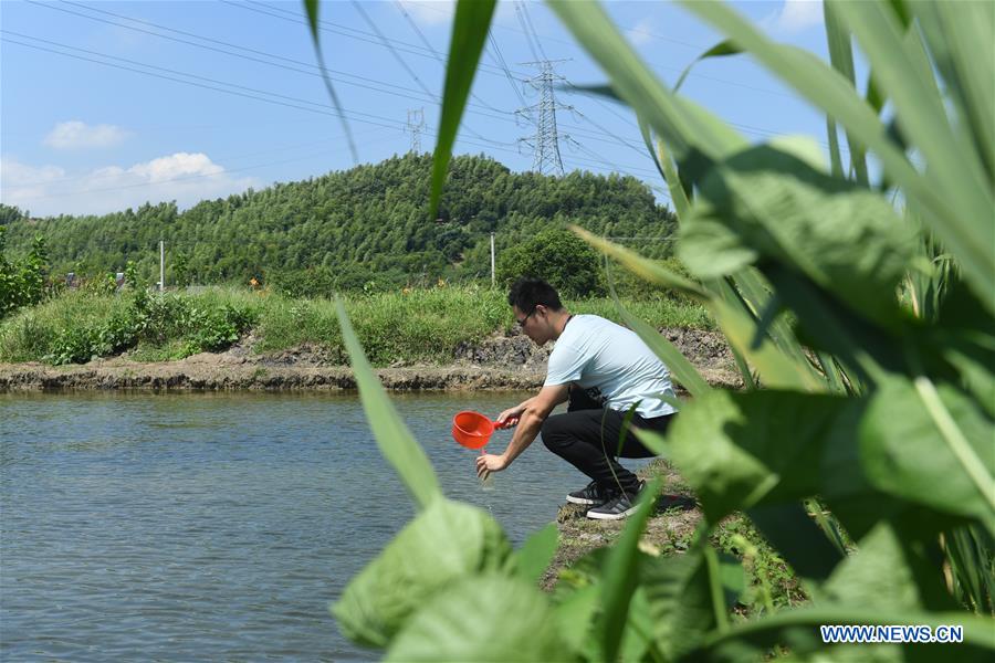 CHINA-ZHEJIANG-AQUACULTURE-WATER PURIFYING (CN)