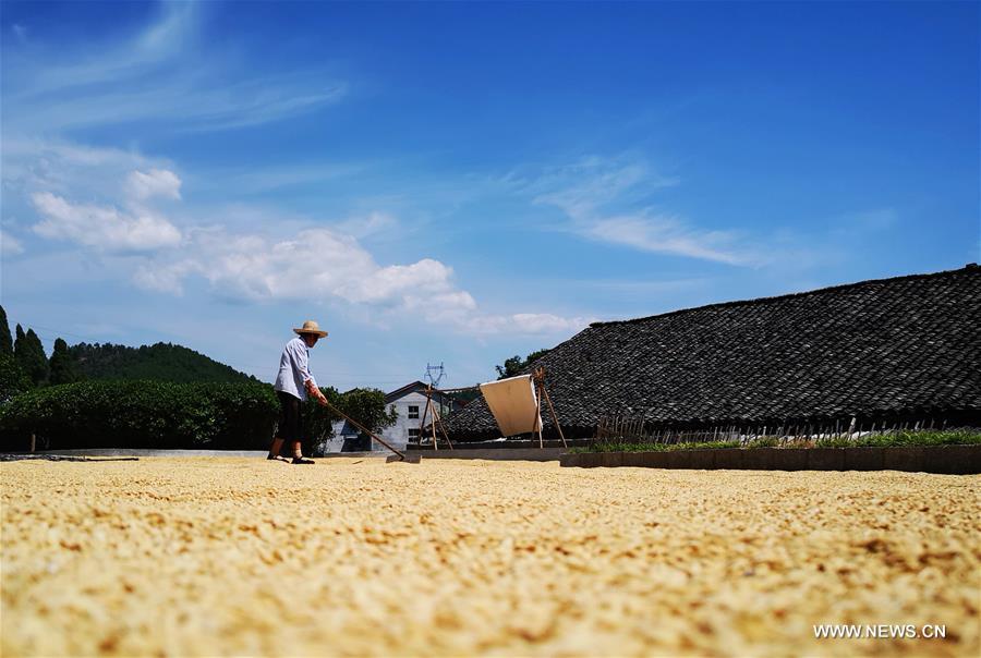 #CHINA-HUNAN-AUTUMN-HARVEST (CN)