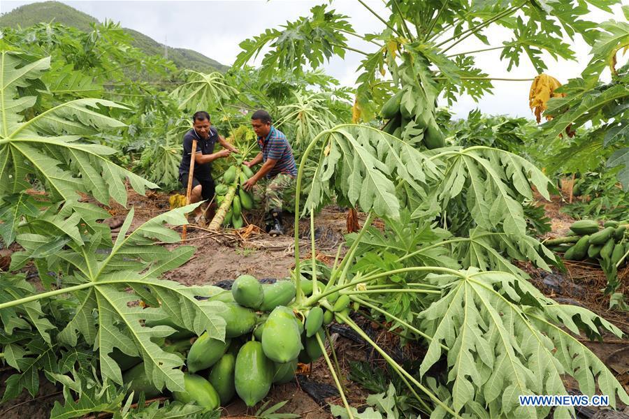 #CHINA-GUANGXI-TYPHOON MANGKHUT(CN)