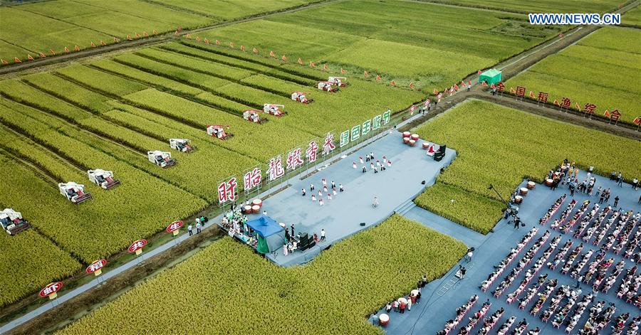 CHINA-JIANGSU-XUYI-RICE-HARVEST (CN)