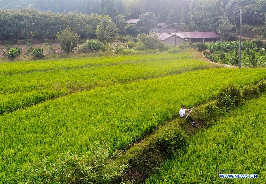 CHINA-JIANGXI-FARMER PAINTERS (CN)