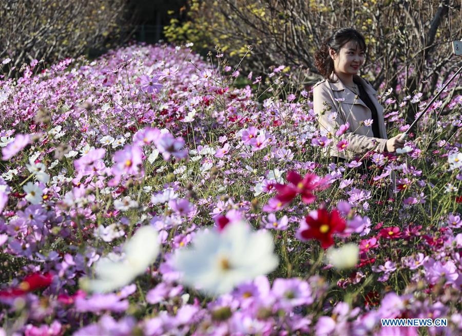 CHINA-JIANGSU-FLOWER-LEASURE (CN)