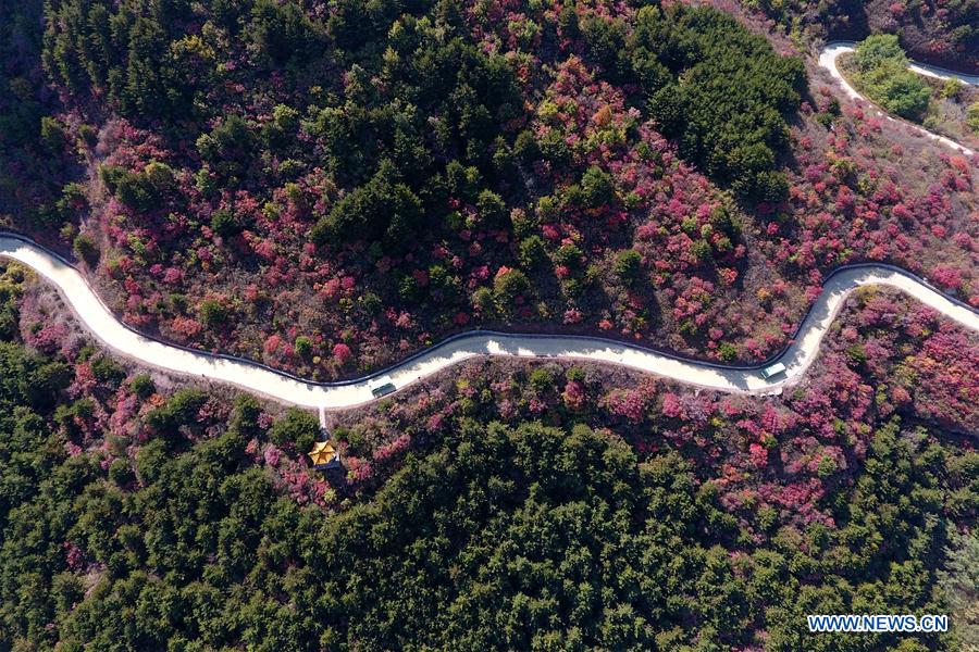 CHINA-SHANXI-TAIHANG MOUNTAIN-SCENERY (CN)