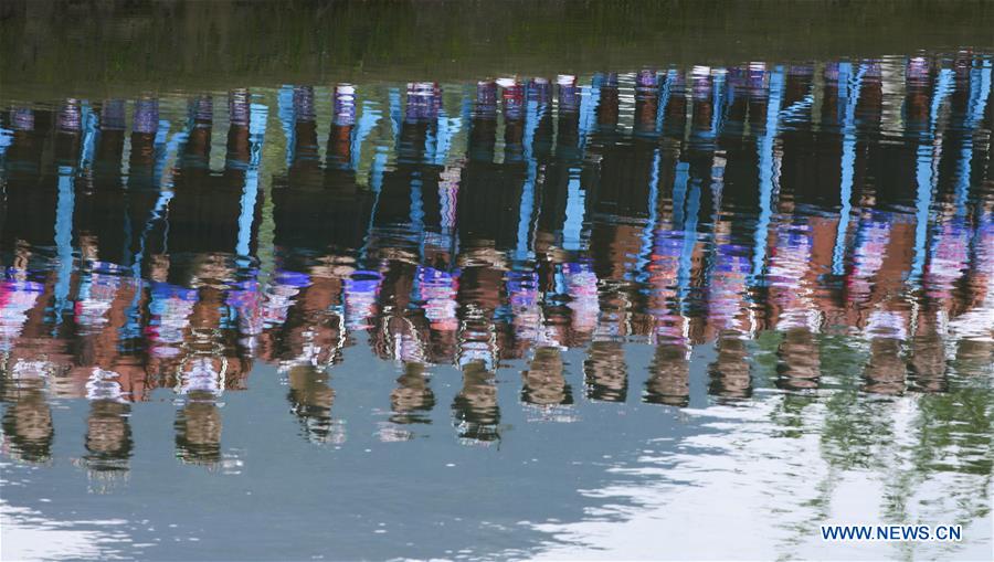 CHINA-GUANGXI-HARVEST FESTIVAL-CELEBRATION (CN)