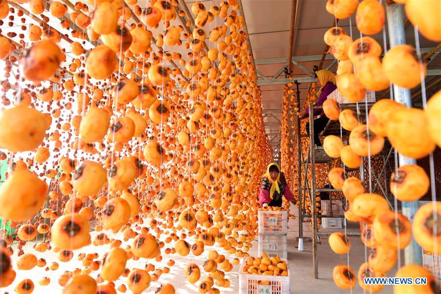 #CHINA-SHANDONG-LINYI-PERSIMMON (CN) 