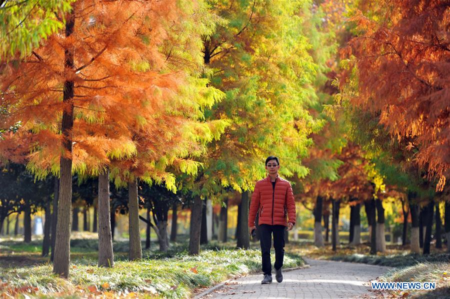 #CHINA-SCENERIES (CN)