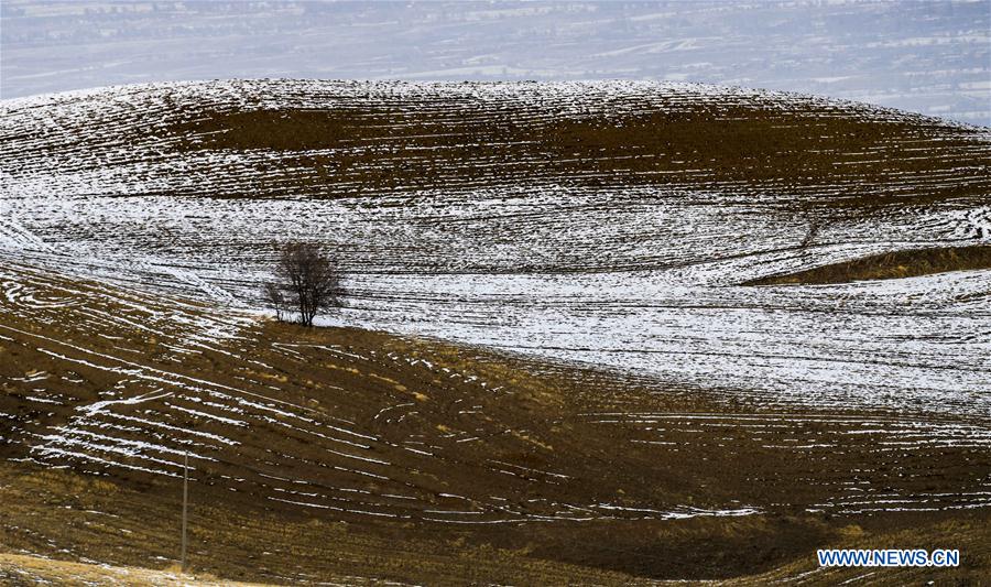 CHINA-XINJIANG-SNOWFALL (CN)