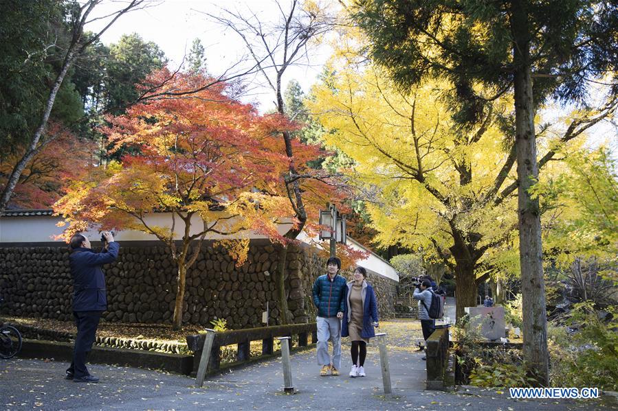 JAPAN-TOKYO-MITAKE GORGE-COLORFUL LEAVES