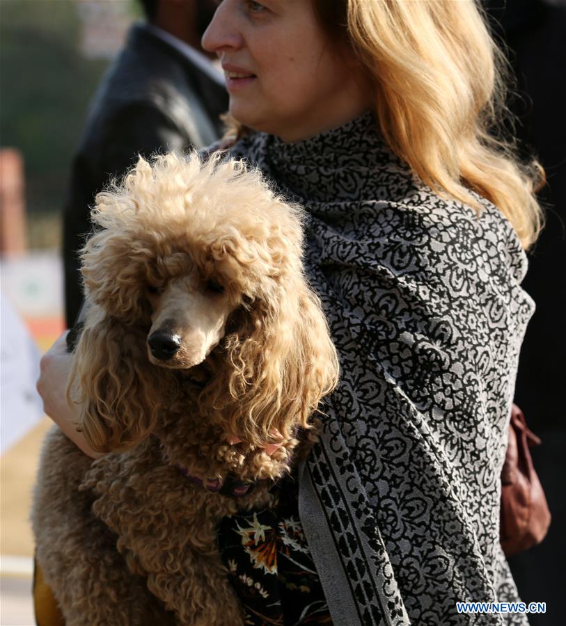 PAKISTAN-ISLAMABAD-DOG SHOW