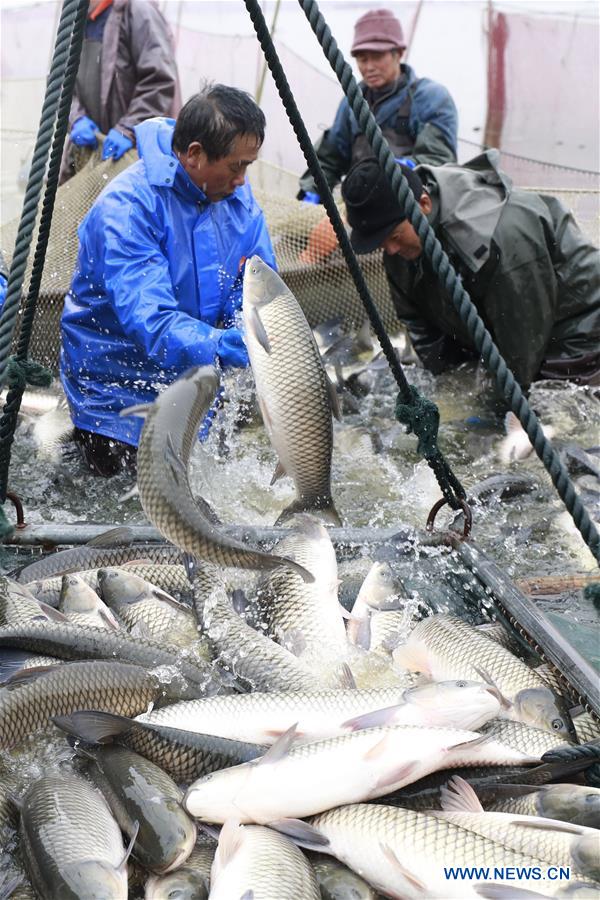 #CHINA-JIANGSU-XUYI-WINTER FISHING (CN)