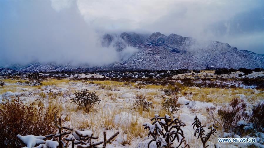 U.S.-NEW MEXICO-ALBUQUERQUE-BLIZZARD