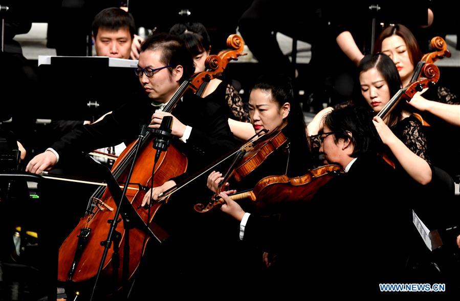 CHINA-HENAN-CONCERT-NEW YEAR (CN)