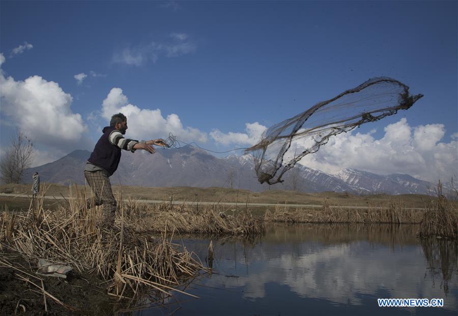 KASHMIR-SRINAGAR-DAILY LIFE